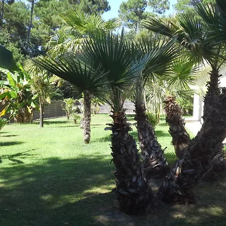 Villa Rue Albert Camus